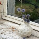 MORIN Christelle (41)