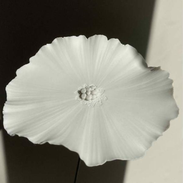 MALLART Laurence (91)